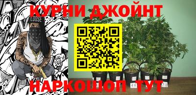 кокс Гусев