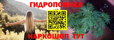 apvp Гусь-Хрустальный