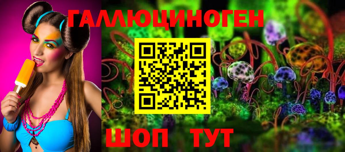 Псилоцибиновые грибы GOLDEN TEACHER Шатура