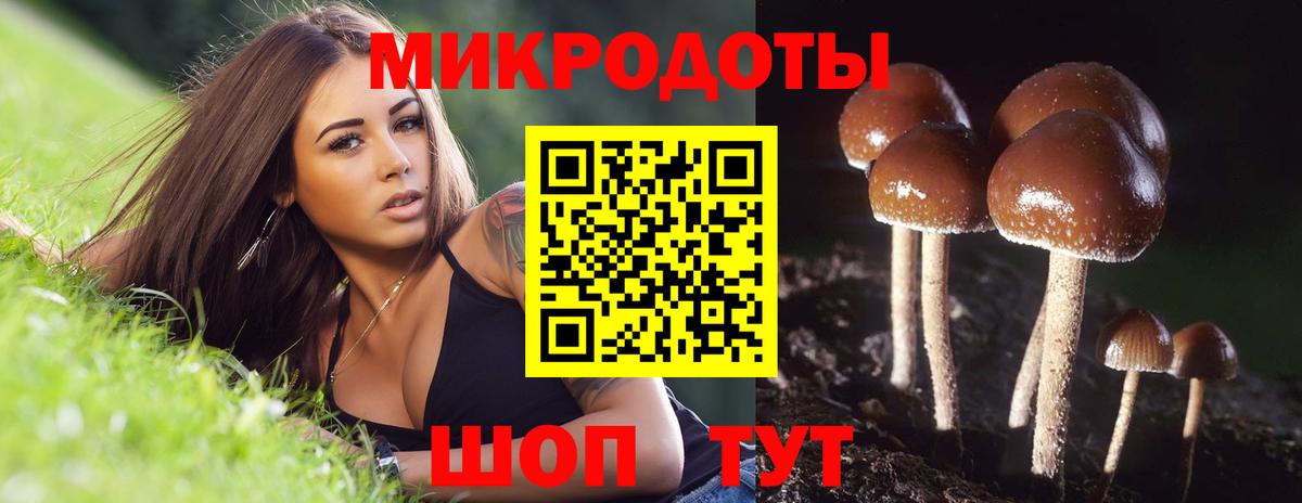 Галлюциногенные грибы мухоморы  Псилоцибиновые грибы MAGIC MUSHROOMS  Вход с VPN  Шатура 